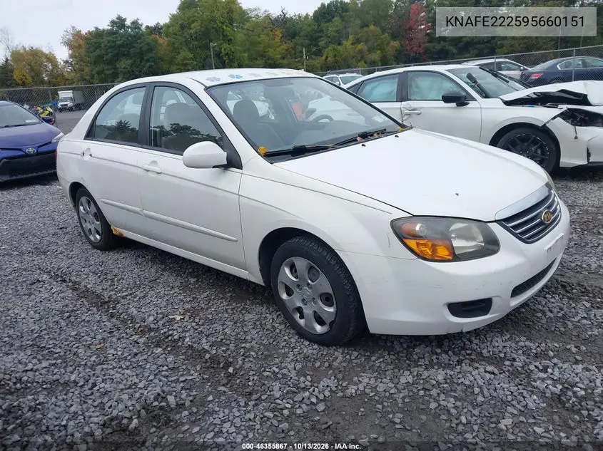 KIA SPECTRA 2009, VIN KNAFE222595660151