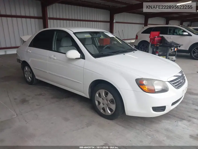 KIA SPECTRA 2009, VIN KNAFE222895623255