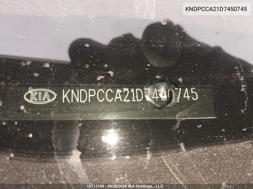 2013 KIA SPORTAGE VIN KNDPCCA21D7450745 — фото 19