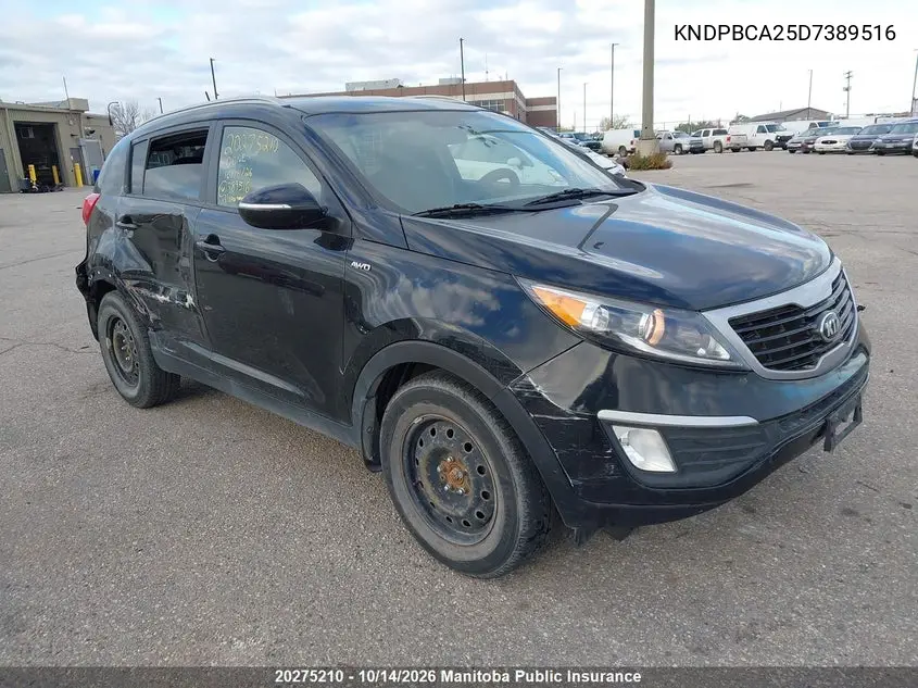 KIA SPORTAGE 2013, VIN KNDPBCA25D7389516