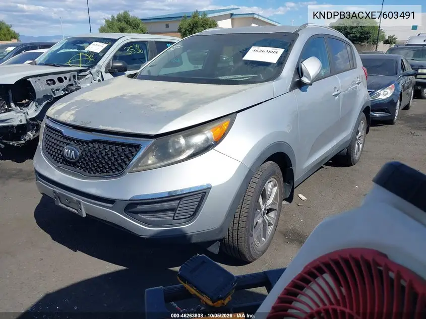 2014 KIA SPORTAGE VIN KNDPB3ACXE7603491 — фото 2