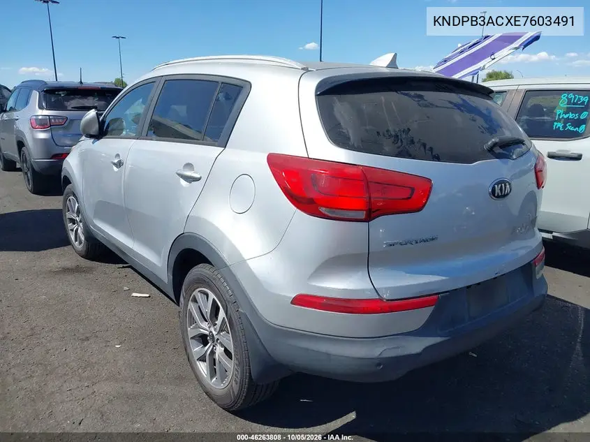 2014 KIA SPORTAGE VIN KNDPB3ACXE7603491 — фото 3