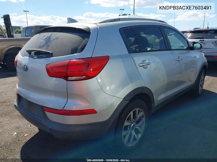 2014 KIA SPORTAGE VIN KNDPB3ACXE7603491 — фото 4