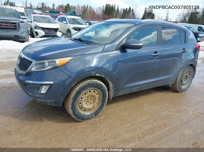  Sportage