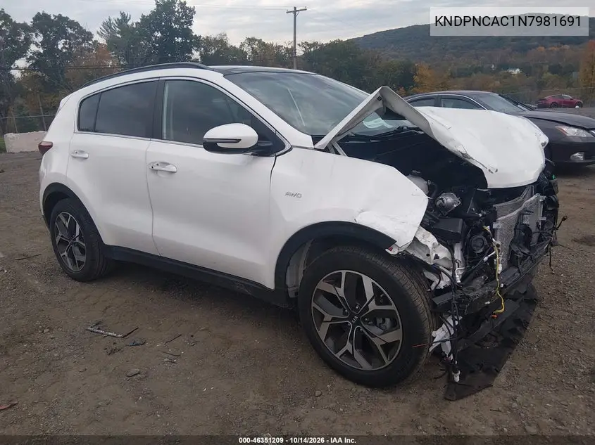 KIA SPORTAGE 2022, VIN KNDPNCAC1N7981691
