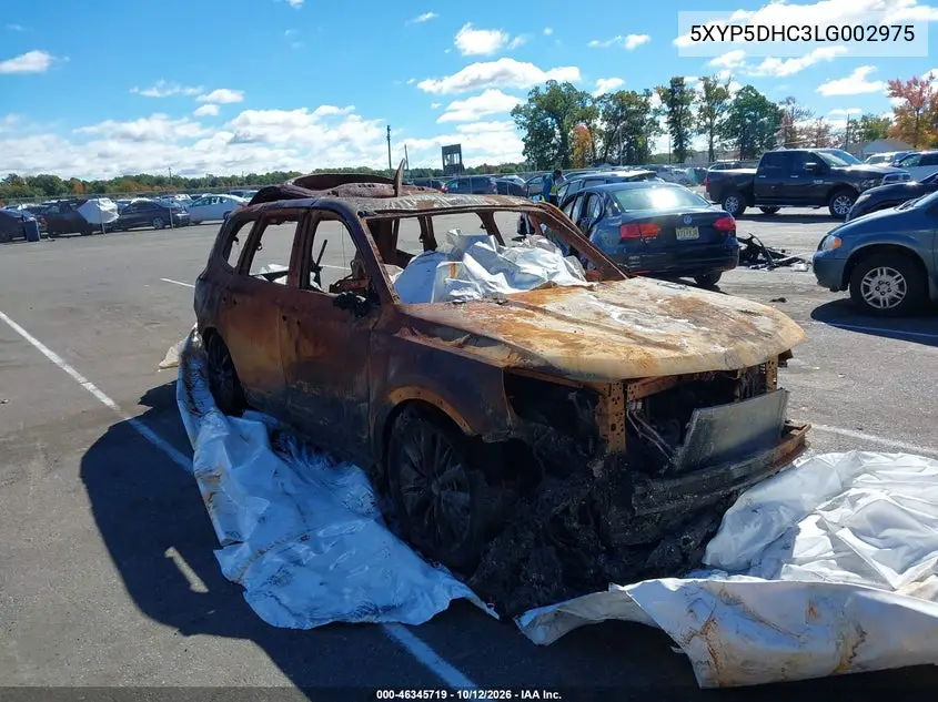 KIA TELLURIDE 2020, VIN 5XYP5DHC3LG002975