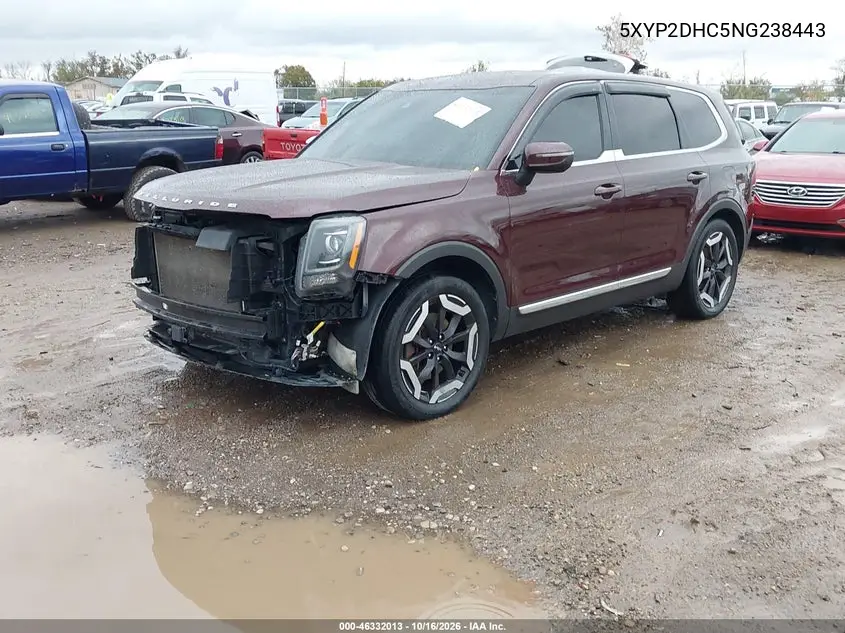 2022 KIA TELLURIDE VIN 5XYP2DHC5NG238443 — фото 2