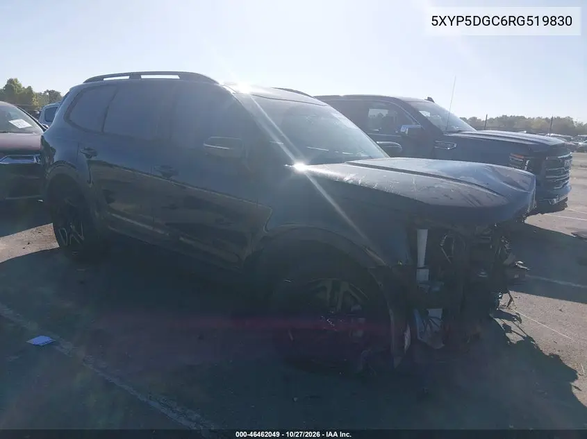 KIA TELLURIDE 2024, VIN 5XYP5DGC6RG519830