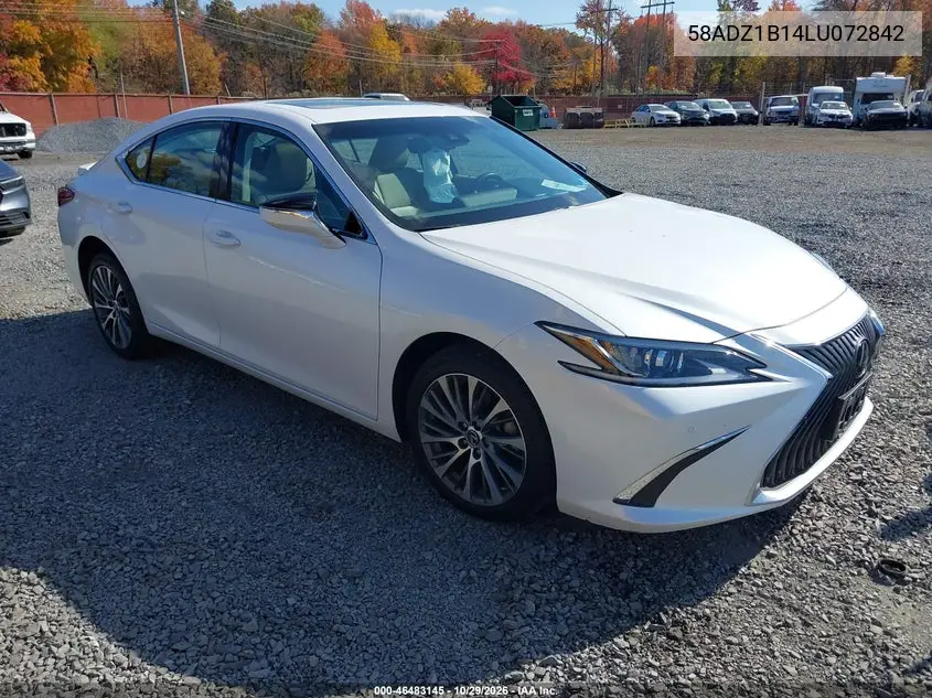 LEXUS ES 2020, VIN 58ADZ1B14LU072842