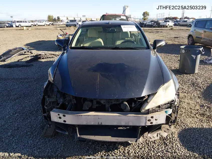 2010 LEXUS IS VIN JTHFE2C25A2503239 — фото 14