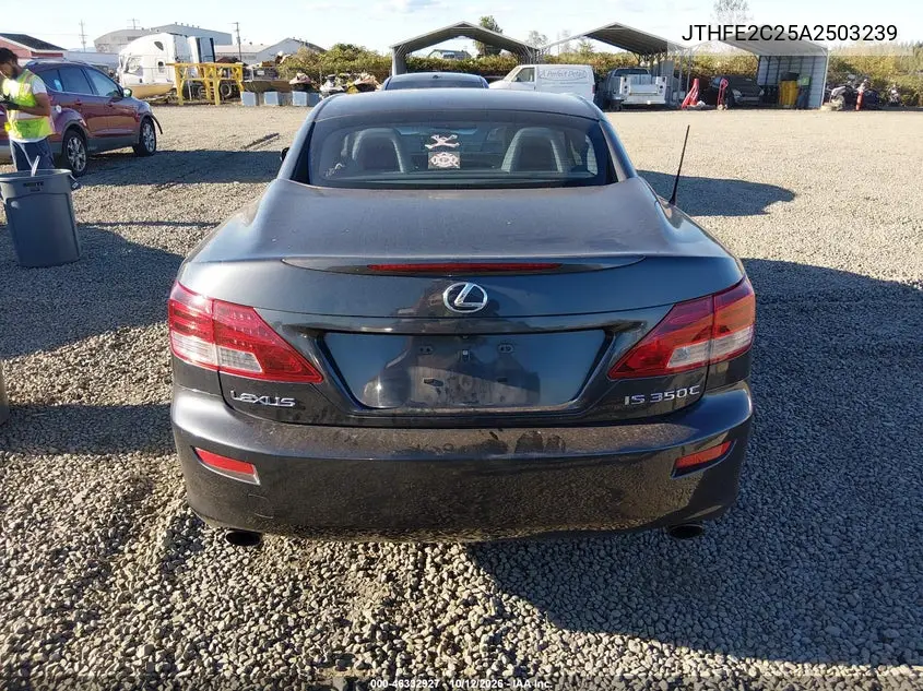 2010 LEXUS IS VIN JTHFE2C25A2503239 — фото 18