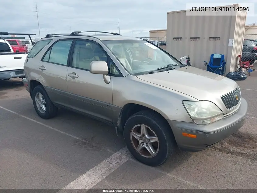 LEXUS RX 2001, VIN JTJGF10U910114096