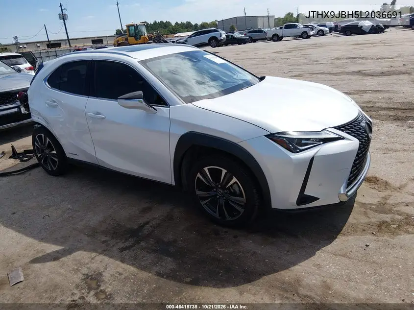 LEXUS UX 2020, VIN JTHX9JBH5L2036691