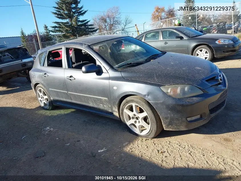 MAZDA 3 2009, VIN JM1BK343291229375