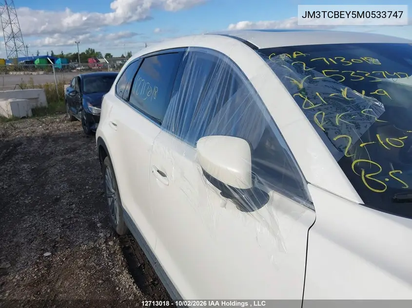 2021 MAZDA CX-9 VIN JM3TCBEY5M0533747 — фото 21