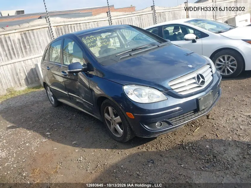 MERCEDES B-KLASSE 2006, VIN WDDFH33X16J102302