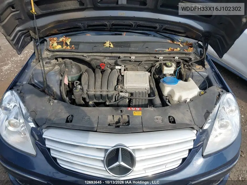 2006 MERCEDES B-KLASSE VIN WDDFH33X16J102302 — фото 10