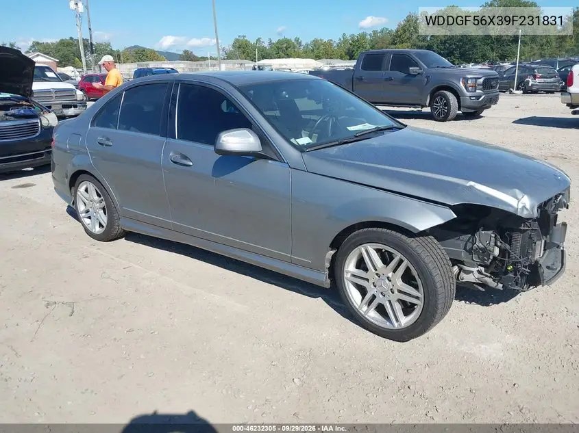 MERCEDES C-KLASSE 2009, VIN WDDGF56X39F231831