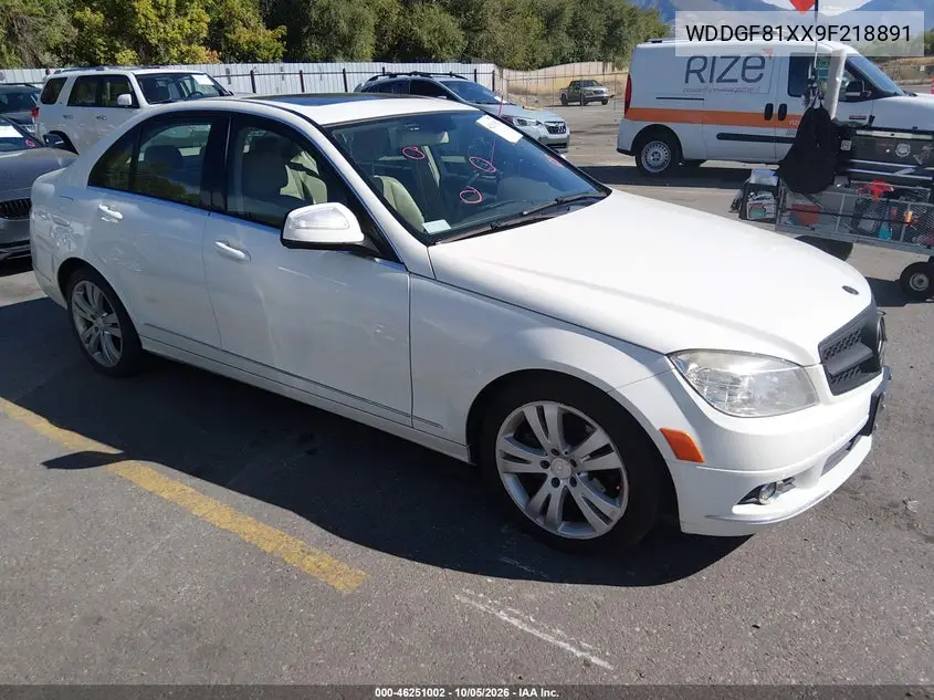 MERCEDES C-KLASSE 2009, VIN WDDGF81XX9F218891