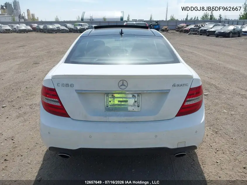 2013 MERCEDES C-KLASSE VIN WDDGJ8JB5DF962667 — фото 15