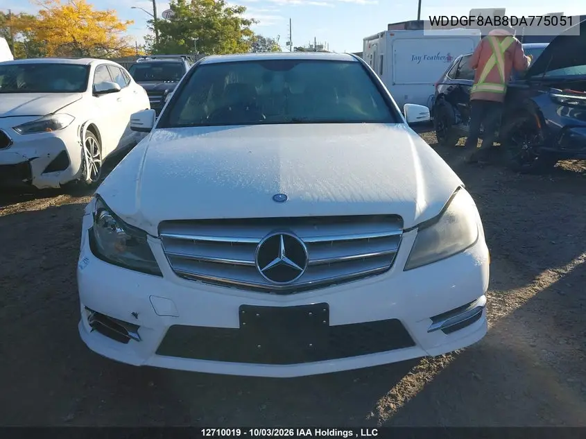 2013 MERCEDES C-KLASSE VIN WDDGF8AB8DA775051 — фото 13
