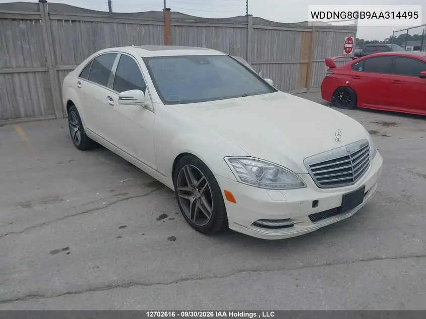 MERCEDES S-KLASSE 2010, VIN WDDNG8GB9AA314495