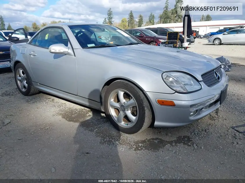 MERCEDES SLK-KLASSE 2001, VIN WDBKK65F01F209691