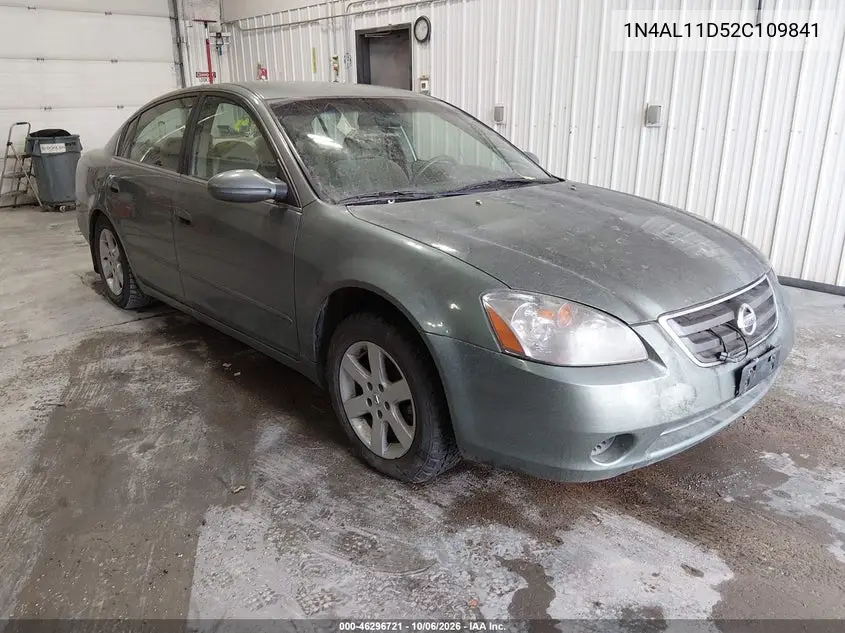 NISSAN ALTIMA 2002, VIN 1N4AL11D52C109841