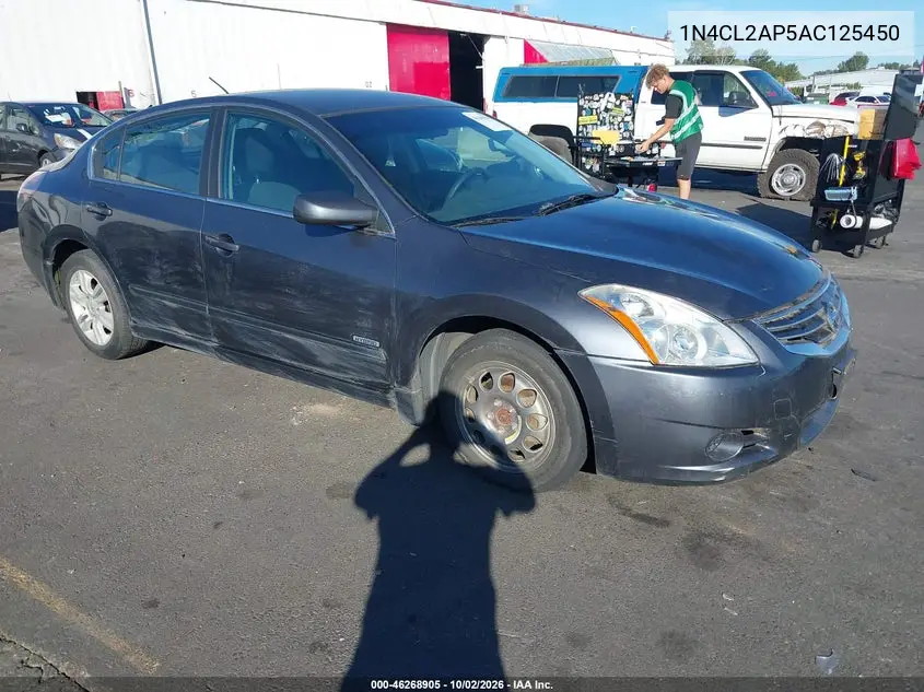 NISSAN ALTIMA 2010, VIN 1N4CL2AP5AC125450