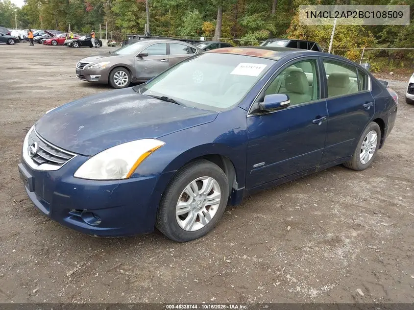 2011 NISSAN ALTIMA VIN 1N4CL2AP2BC108509 — фото 2