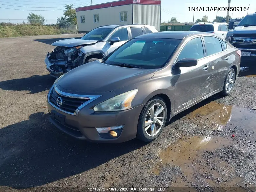 2013 NISSAN ALTIMA VIN 1N4AL3APXDN509164 — фото 2