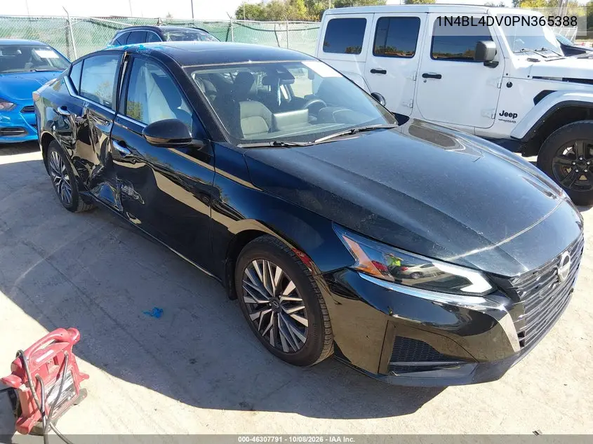 NISSAN ALTIMA 2023, VIN 1N4BL4DV0PN365388