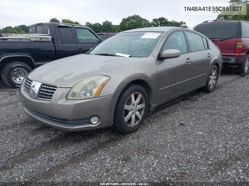 2005 NISSAN MAXIMA VIN 1N4BA41E55C851827 — фото 2