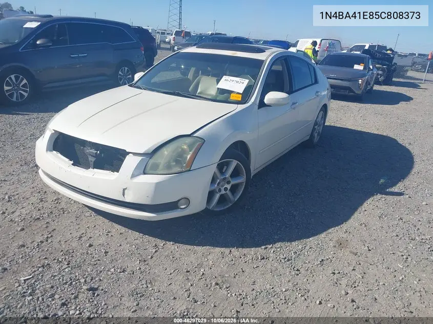 2005 NISSAN MAXIMA VIN 1N4BA41E85C808373 — фото 2