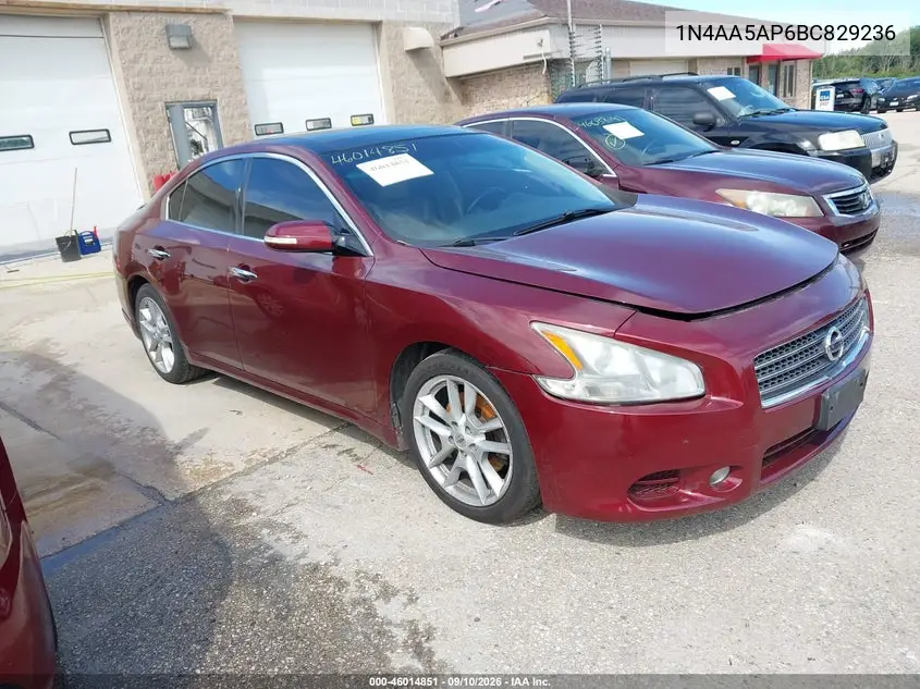 NISSAN MAXIMA 2011, VIN 1N4AA5AP6BC829236