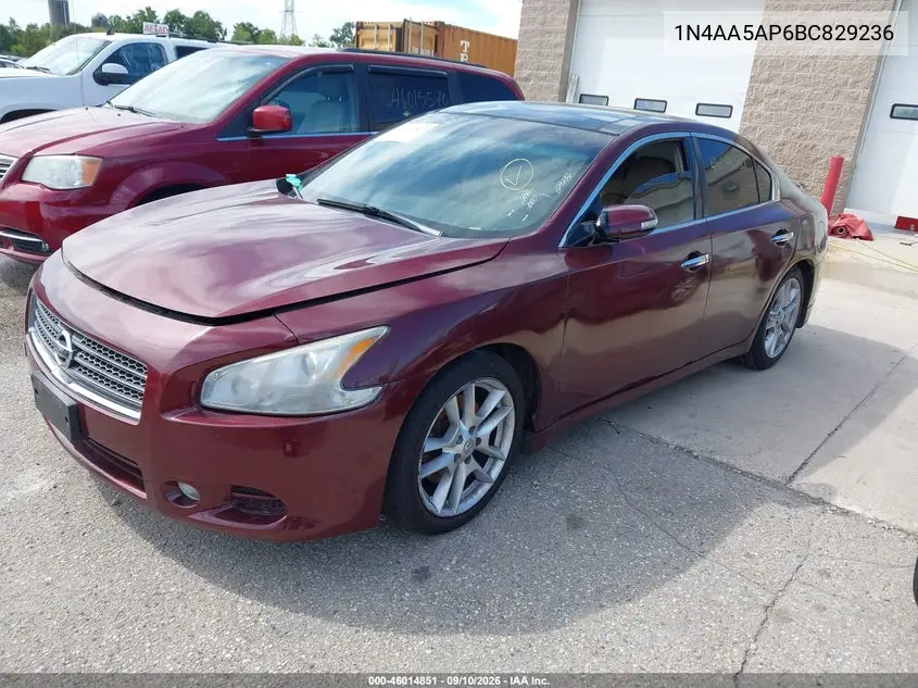 2011 NISSAN MAXIMA VIN 1N4AA5AP6BC829236 — фото 2