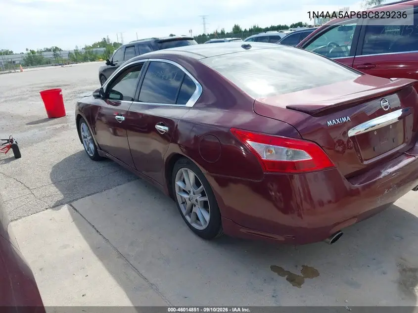 2011 NISSAN MAXIMA VIN 1N4AA5AP6BC829236 — фото 3