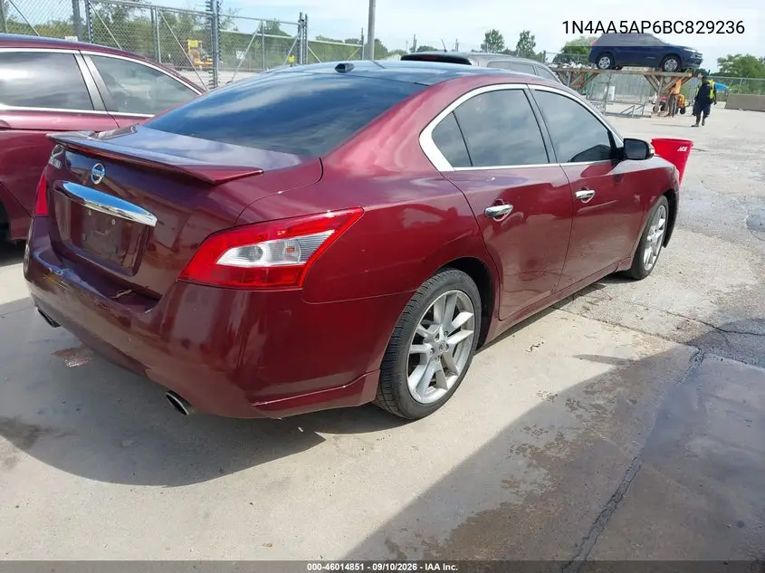 2011 NISSAN MAXIMA VIN 1N4AA5AP6BC829236 — фото 4