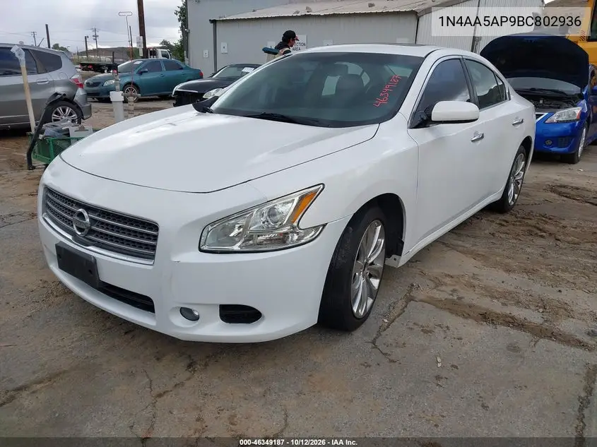 2011 NISSAN MAXIMA VIN 1N4AA5AP9BC802936 — фото 2
