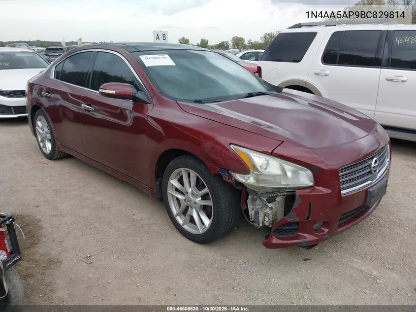 NISSAN MAXIMA 2011, VIN 1N4AA5AP9BC829814
