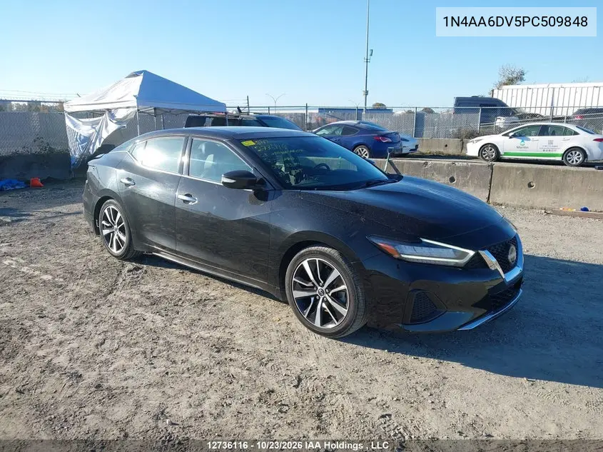NISSAN MAXIMA 2023, VIN 1N4AA6DV5PC509848
