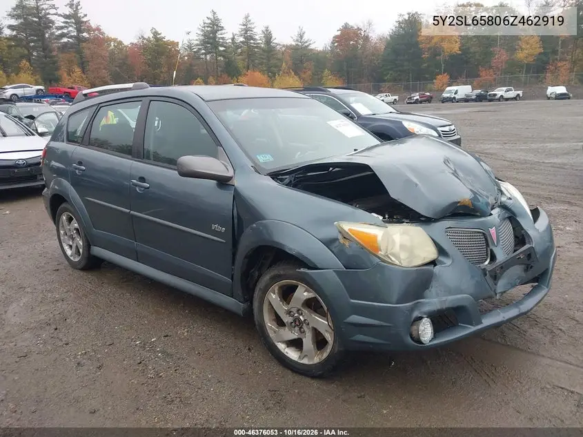 PONTIAC VIBE 2006, VIN 5Y2SL65806Z462919