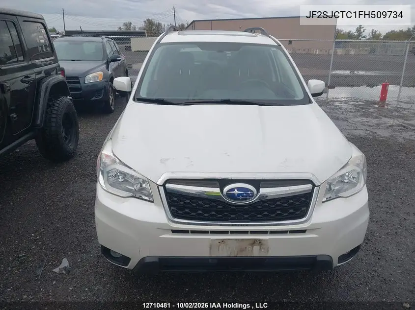 2015 SUBARU FORESTER VIN JF2SJCTC1FH509734 — фото 12