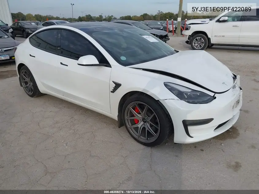 TESLA MODEL 3 2023, VIN 5YJ3E1EC9PF422089