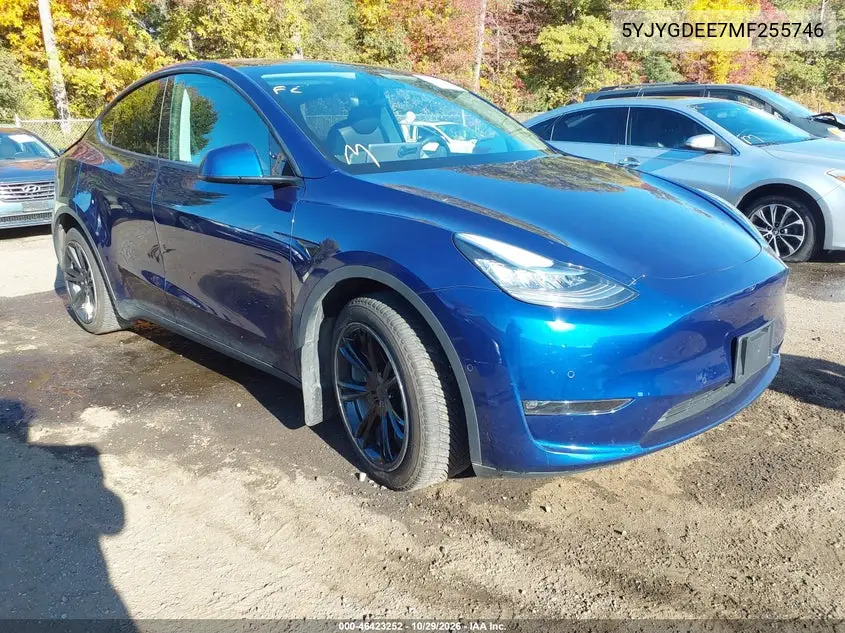 TESLA MODEL Y 2021, VIN 5YJYGDEE7MF255746