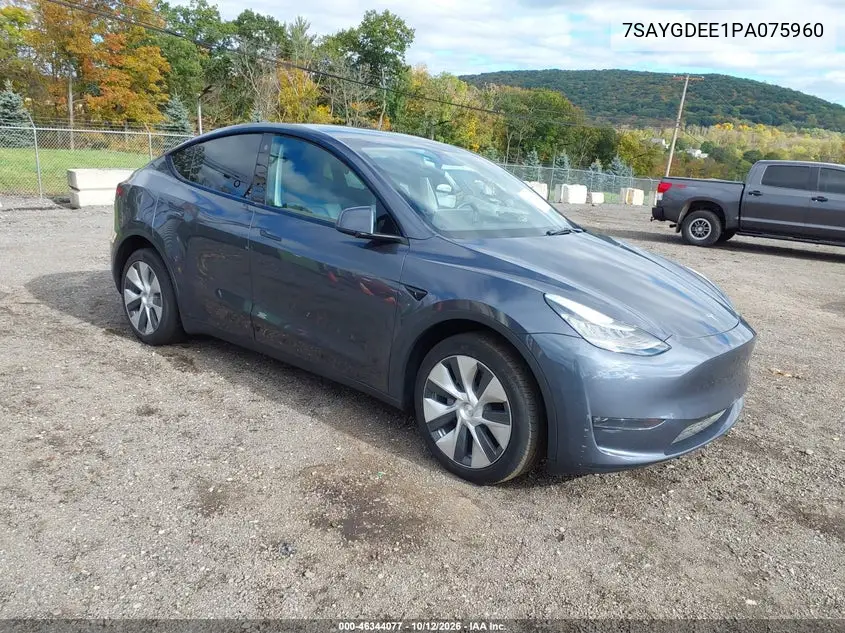 TESLA MODEL Y 2023, VIN 7SAYGDEE1PA075960