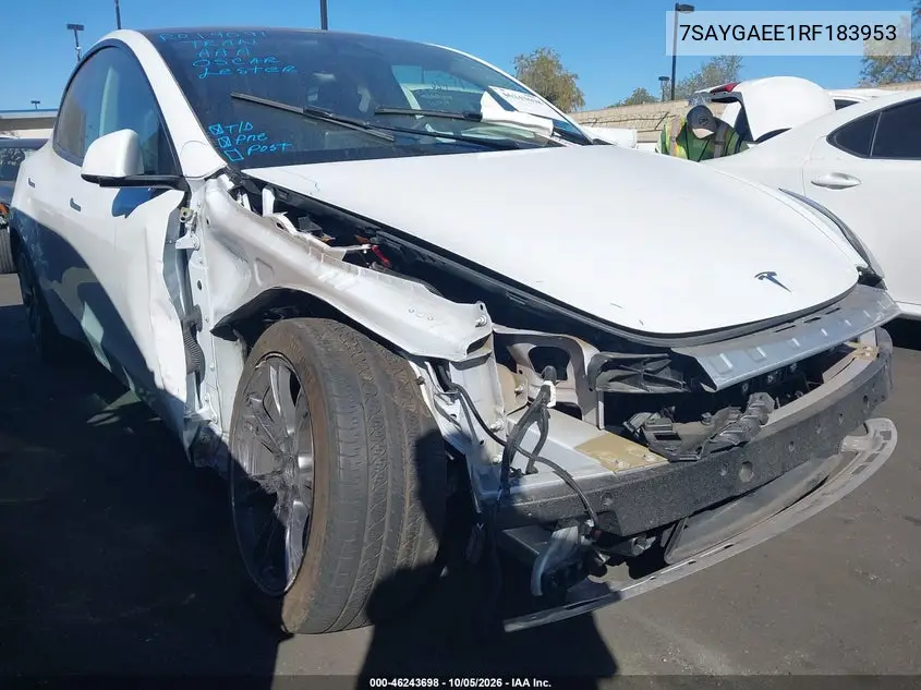 TESLA MODEL Y 2024, VIN 7SAYGAEE1RF183953