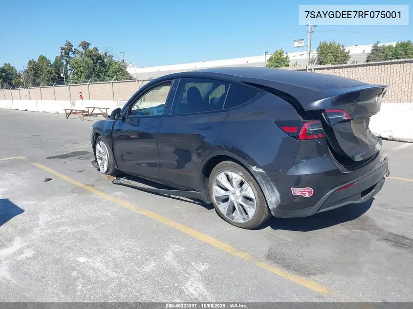 2024 TESLA MODEL Y VIN 7SAYGDEE7RF075001 — фото 3