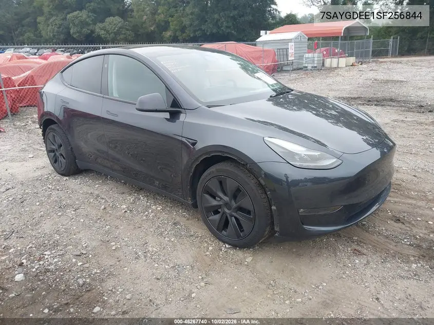 TESLA MODEL Y 2025, VIN 7SAYGDEE1SF256844