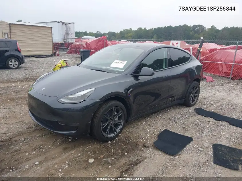 2025 TESLA MODEL Y VIN 7SAYGDEE1SF256844 — фото 2
